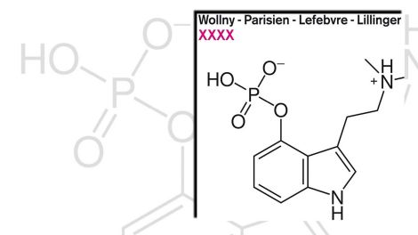 XXX von Wollny-Parisien-Lefebvre-Lillinger