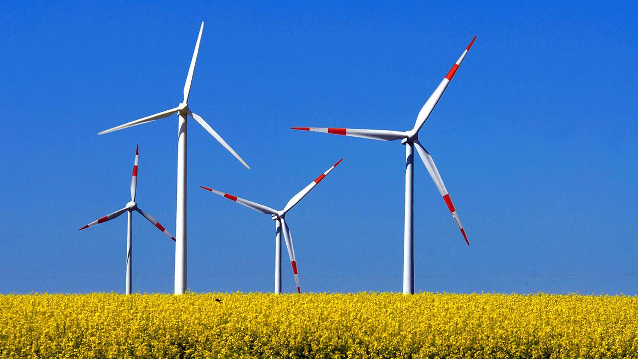 Windräder stehen auf einem Feld in Brandenburg © imago/PEMAX