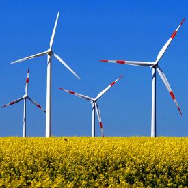 Windräder stehen auf einem Feld in Brandenburg © imago/PEMAX