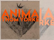 Anima von Thom Yorke (Cover) © Xl/Beggars Group/Indigo