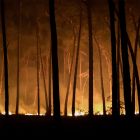 Waldbrand in der Nähe von Jüterbog