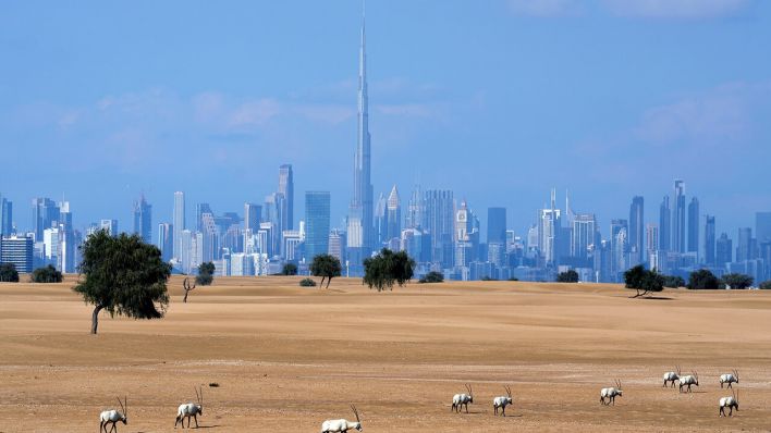 Skyline von Dubai © AP Photo/Kamran Jebreili