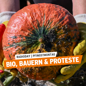 Radioday "Bio, Bauern und Proteste" © picture alliance/dpa