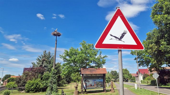 Ein Verkehrsschild mit einem Storch darauf warnt vor dem Storch, der im Hintergrund in seinem Nest zu sehen ist © rbb/Franceschina