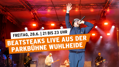 Beatsteaks © picture alliance/dpa