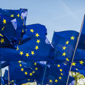 EU-Flaggen © IMAGO / Zoonar