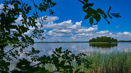 Wolken ziehen am blauen Sommerhimmel über den Parsteiner See in Brandenburg © dpa/Patrick Pleul