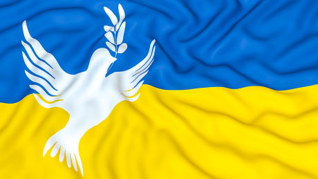 Eine Friedenstaube auf einer ukrainischen Flagge © IMAGO / Panthermedia