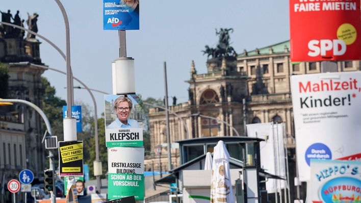 Wahlplakate in Dresden © IMAGO / DeFodi