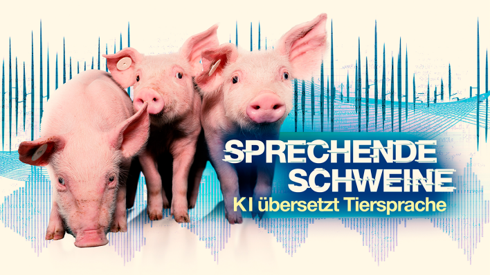 "Sprechende Schweine - KI übersetzt Tiersprache" © NDR/picture alliance/Countrypixel/Snowman Productions