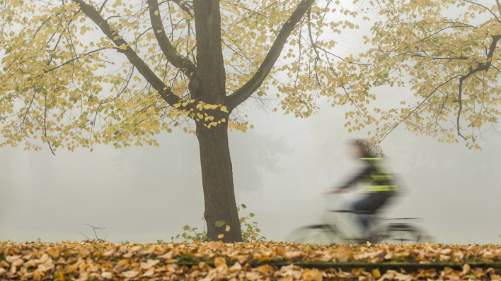 Ein Radfahrer fährt im Herbst durch Berlin © IMAGO/photothek