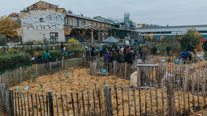 Kiezwald in Moabit © Melanie Schütt