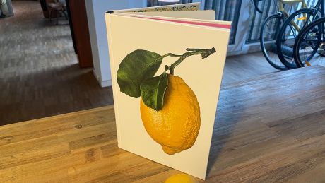 Buch "Lemon" aus dem Taschen Verlag