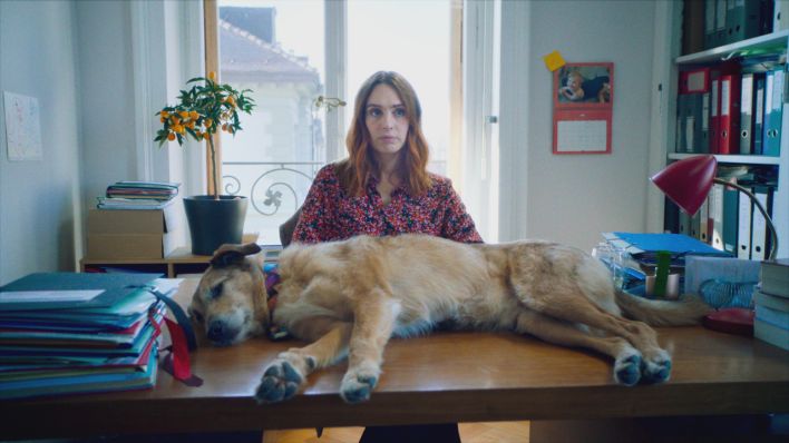 Hundschuldig: Anwältin Avril Lucciani (Lætitia Dosch) hat mit Hund Cosmos einen neuen Fall auf dem Tisch © 2024 BANDE À PART FILMS, ATELIER DE PRODUCTION, RTS RADIO TÉLÉVISION SUISSE, SRG SSR, FRANCE 2 CINÉMA